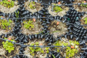 Air Pruning Pots - Maxigro