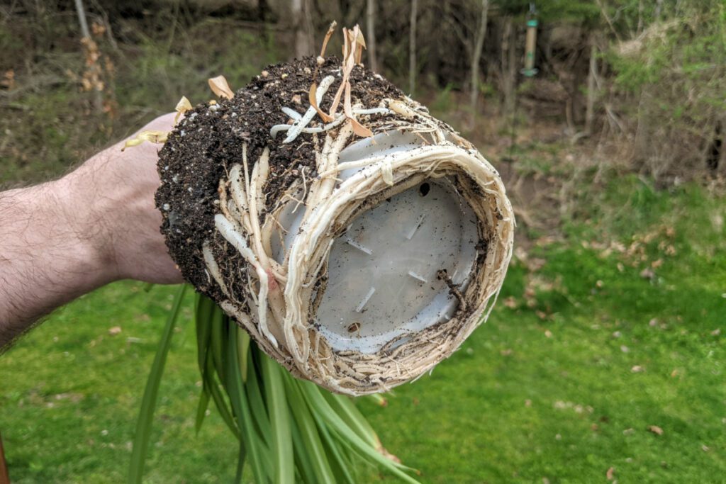 Air Pruning Pots - Maxigro