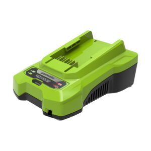 40V-GREENWORKS-FAST-CHARGER
